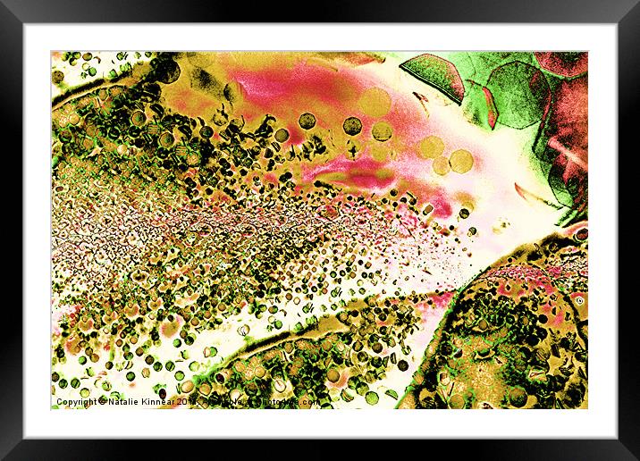 Abstract Leaf and Light V Framed Mounted Print by Natalie Kinnear