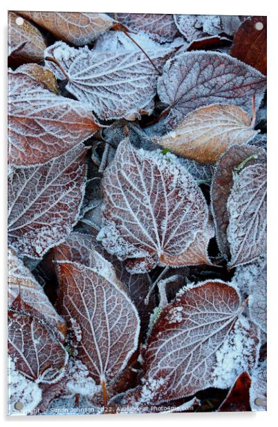 frosted leaves Acrylic by Simon Johnson