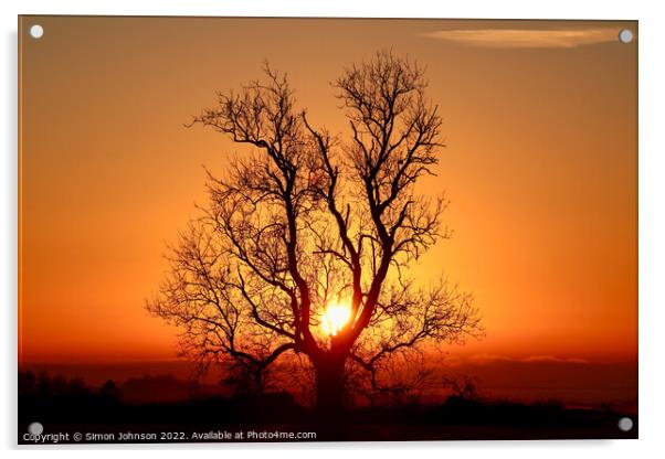 A sunset over a body of water Acrylic by Simon Johnson