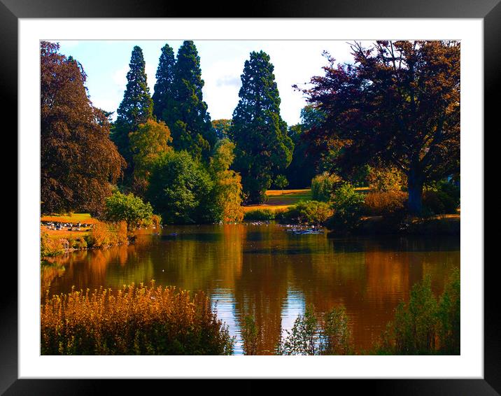 Serene Reflections Framed Mounted Print by Simon Hill