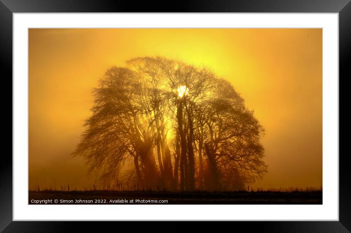 Trees, mist and sunburst Framed Mounted Print by Simon Johnson