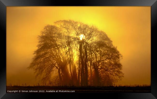 Trees, mist and sunburst Framed Print by Simon Johnson
