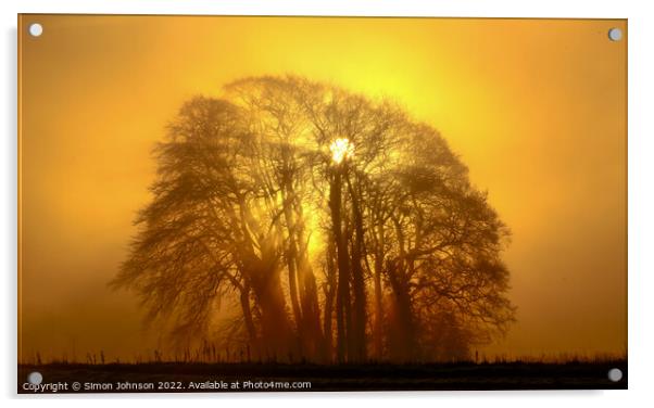 Trees, mist and sunburst Acrylic by Simon Johnson