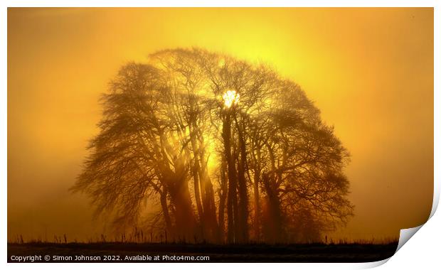 Trees, mist and sunburst Print by Simon Johnson