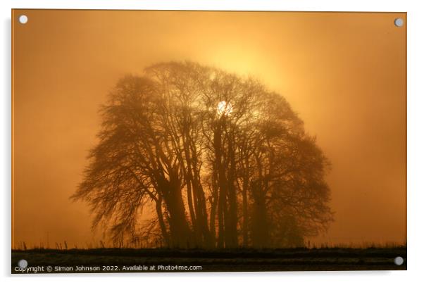 Misty sunrise  Acrylic by Simon Johnson