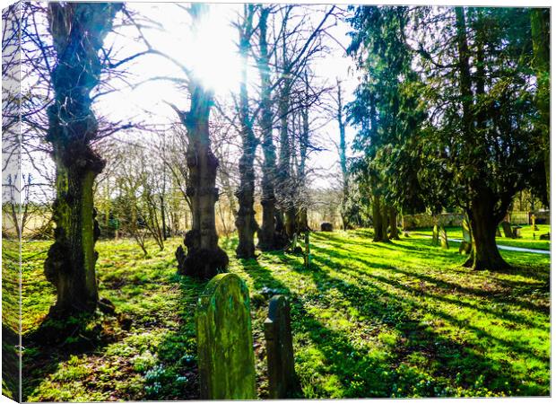 Trees in a Churchyard of St Marys Canvas Print by Simon Hill