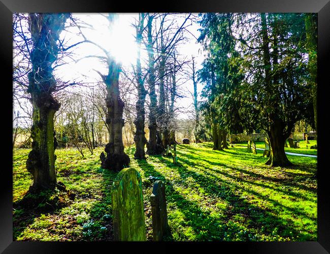 Trees in a Churchyard of St Marys Framed Print by Simon Hill