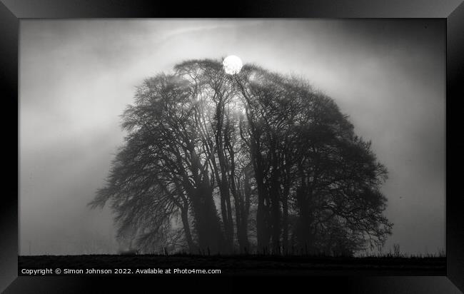  Misty sunrise Broadway Woods Cotswolds Gloucester Framed Print by Simon Johnson
