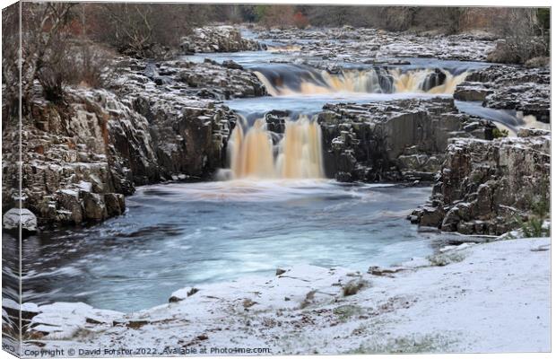 Winters Grip at Low Force, Teesdale, County Durham, UK Canvas Print by David Forster