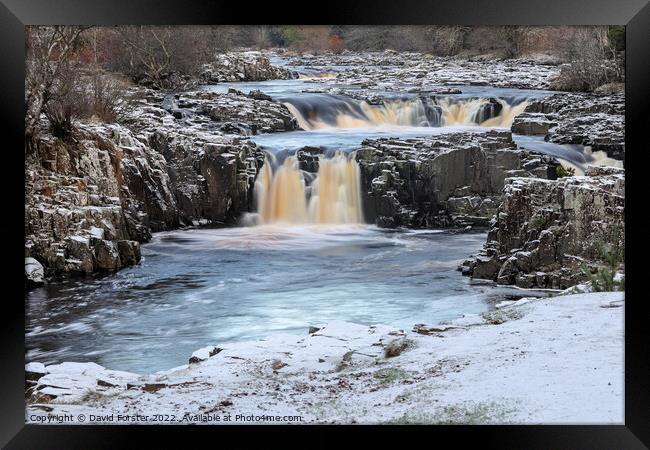 Winters Grip at Low Force, Teesdale, County Durham, UK Framed Print by David Forster