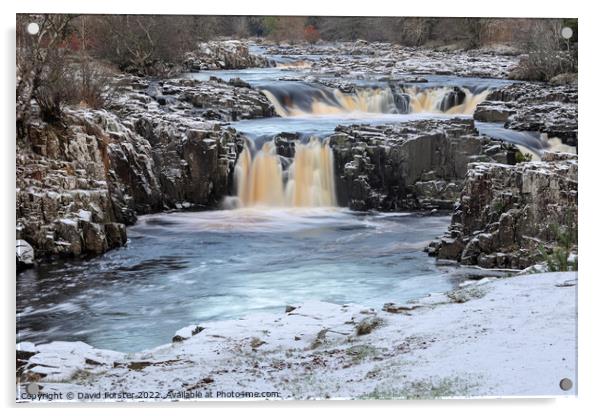 Winters Grip at Low Force, Teesdale, County Durham, UK Acrylic by David Forster