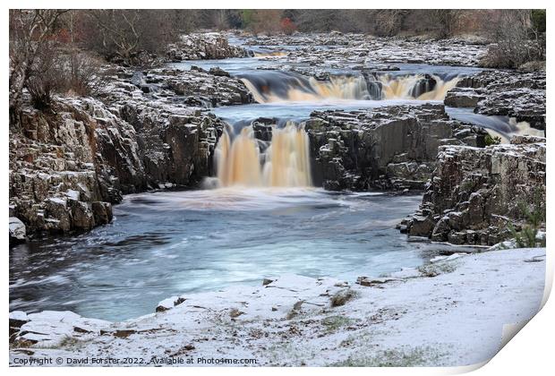 Winters Grip at Low Force, Teesdale, County Durham, UK Print by David Forster