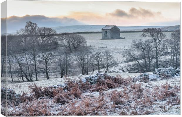 Frosty Winter Morning in the North Pennines, Teesdale, UK Canvas Print by David Forster