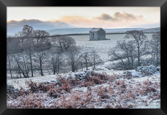 Frosty Winter Morning in the North Pennines, Teesdale, UK Framed Print by David Forster