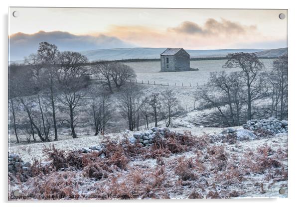 Frosty Winter Morning in the North Pennines, Teesdale, UK Acrylic by David Forster
