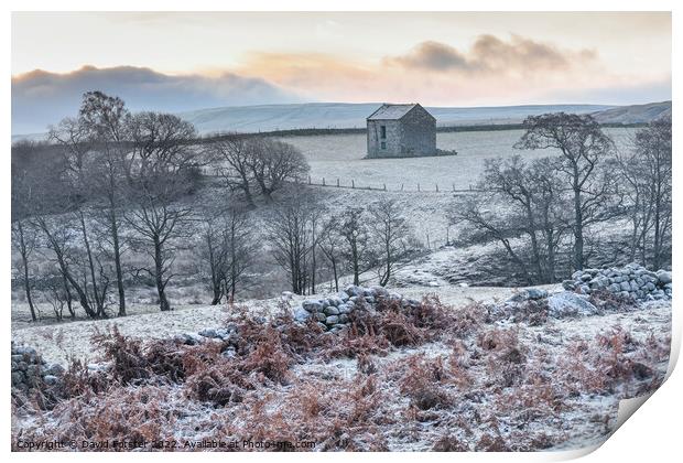 Frosty Winter Morning in the North Pennines, Teesdale, UK Print by David Forster