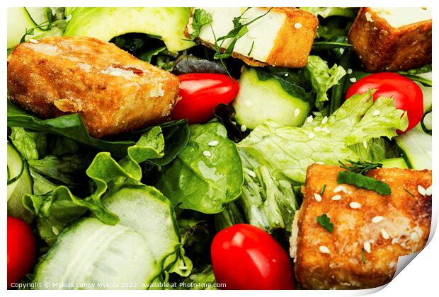 Salad of roasted tofu and fresh vegetables. Print by Mykola Lunov Mykola