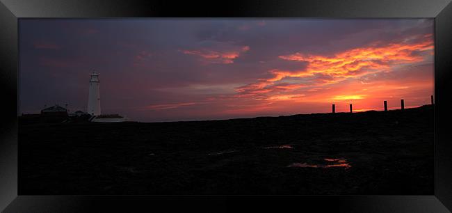 st. mary`s lighthouse pararamic Framed Print by Northeast Images