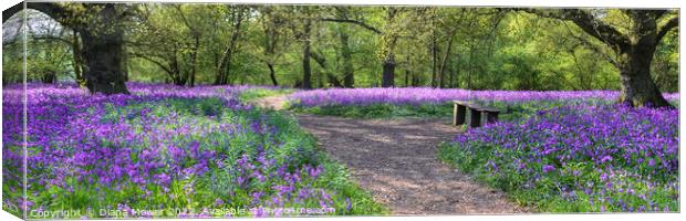  Bluebell Wood Wide Panoramic Canvas Print by Diana Mower