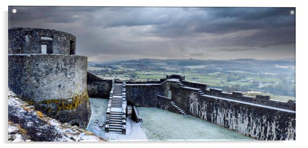 Dinefwr Castle Llandeilo Acrylic by Leighton Collins