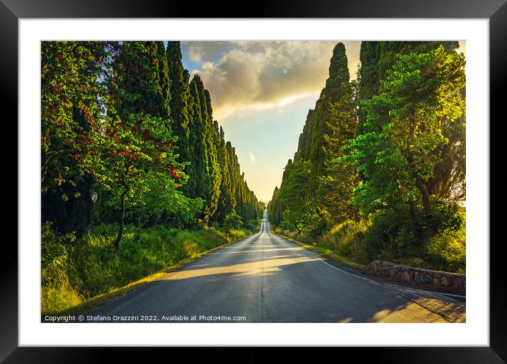 Bolgheri cypress trees boulevard at sunset. Framed Mounted Print by Stefano Orazzini