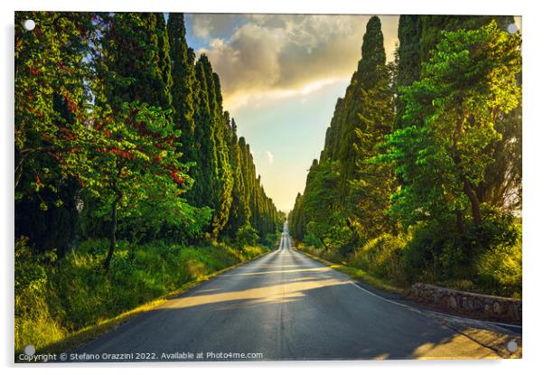 Bolgheri cypress trees boulevard at sunset. Acrylic by Stefano Orazzini