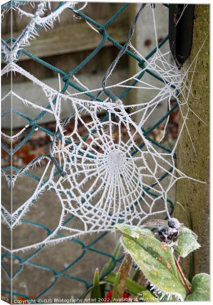 Web in a Fence Canvas Print by GJS Photography Artist