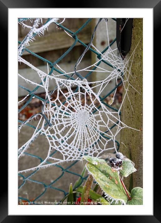 Web in a Fence Framed Mounted Print by GJS Photography Artist