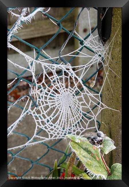 Web in a Fence Framed Print by GJS Photography Artist