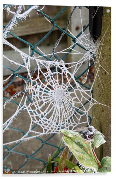 Web in a Fence Acrylic by GJS Photography Artist