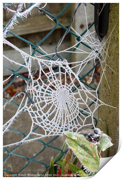 Web in a Fence Print by GJS Photography Artist