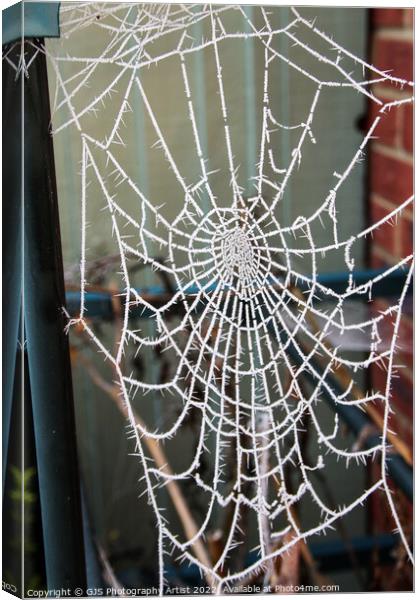 Frozen Cob Webs Holding Up Greenhouse Canvas Print by GJS Photography Artist
