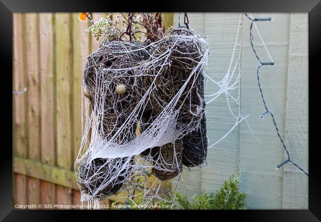 Elephant Wrapped Framed Print by GJS Photography Artist