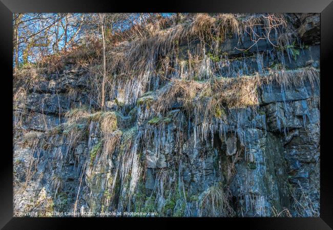 Icicles at Bowlees Quarry, Teesdale Framed Print by Richard Laidler