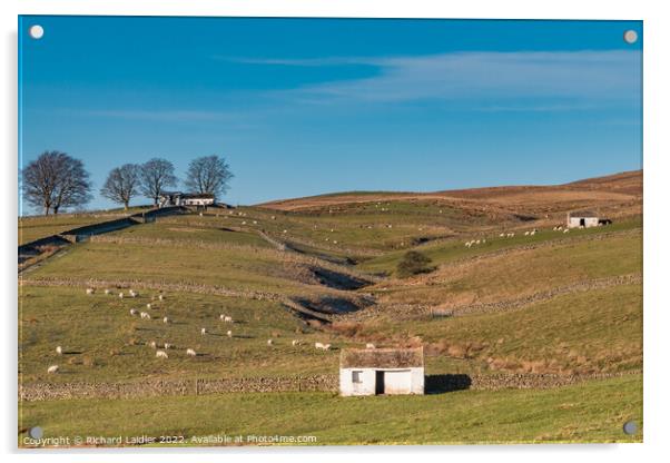 Three Bowlees Barns  Acrylic by Richard Laidler