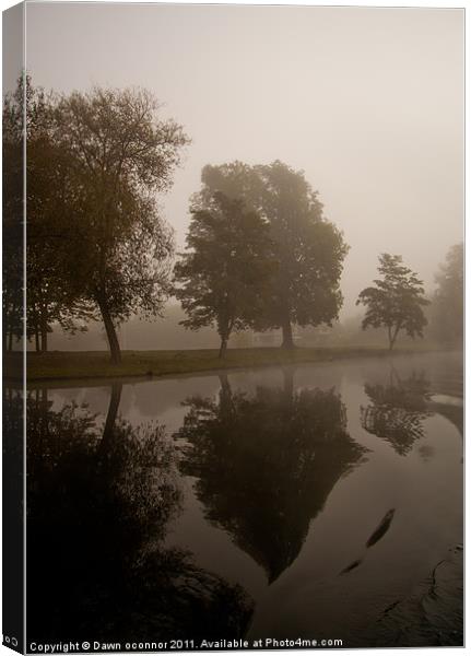 Misty Reflections Canvas Print by Dawn O'Connor