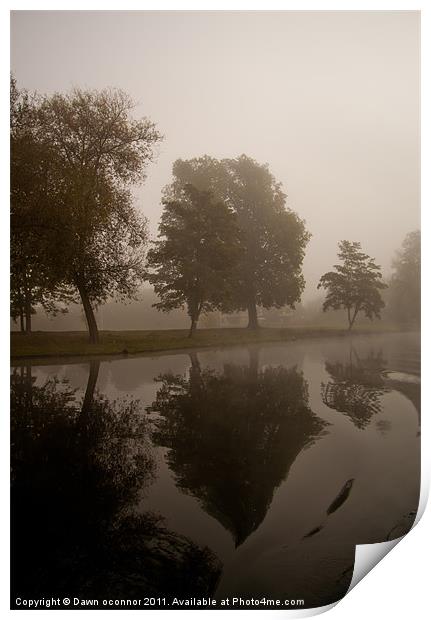Misty Reflections Print by Dawn O'Connor