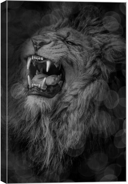 Roaring Lion  Canvas Print by Alison Chambers
