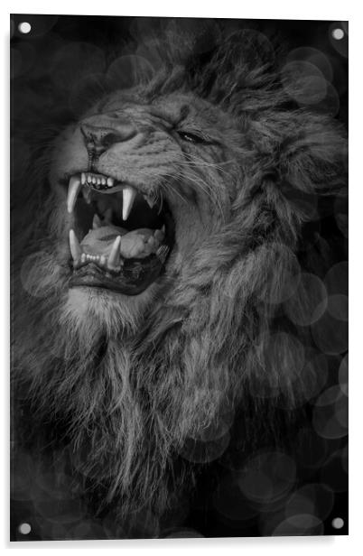 Roaring Lion  Acrylic by Alison Chambers