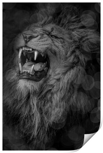 Roaring Lion  Print by Alison Chambers