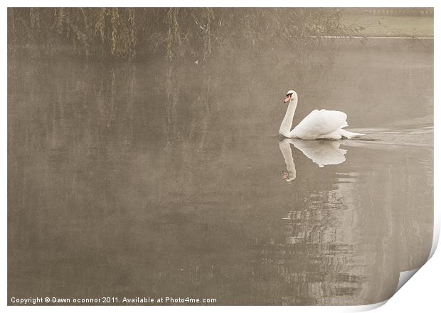 Swan in Mist Print by Dawn O'Connor