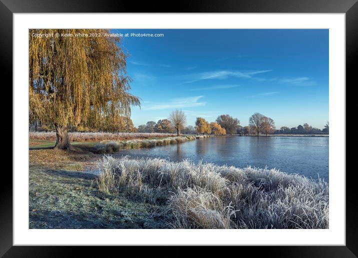 Icy December view with pond and weeping willow tree Framed Mounted Print by Kevin White