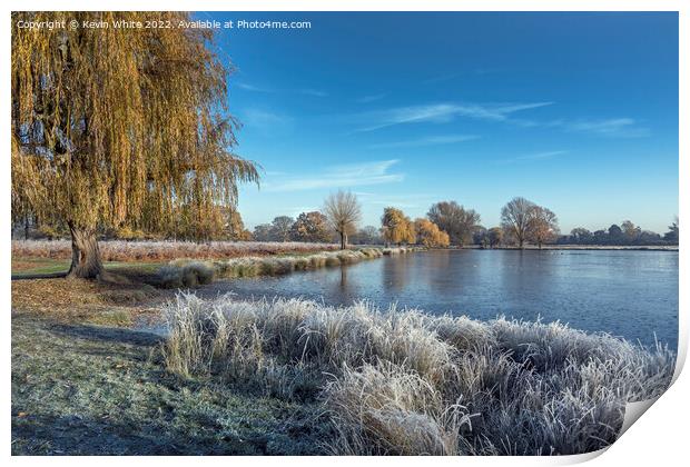 Icy December view with pond and weeping willow tree Print by Kevin White