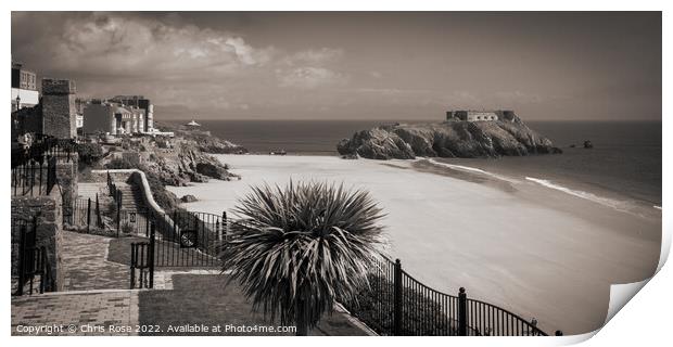 Tenby seafront spring sunshine Print by Chris Rose
