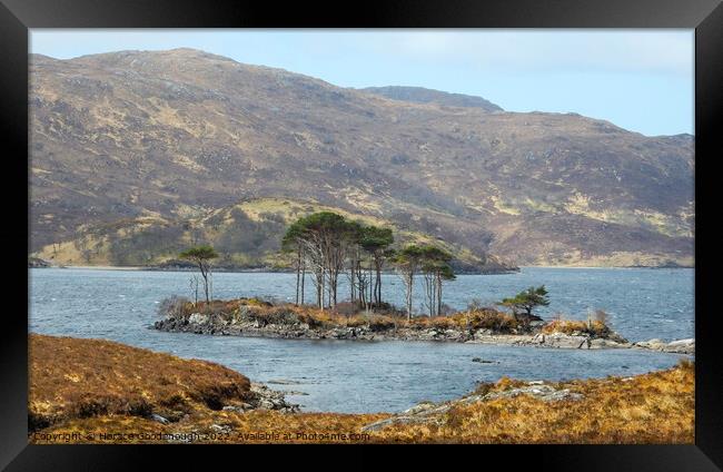 Island in the Highlands Framed Print by Horace Goodenough