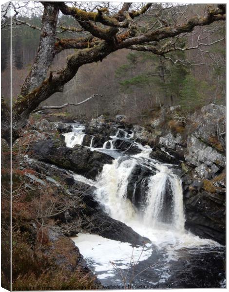 Rogie Falls and Blackwater river Canvas Print by Horace Goodenough