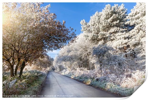 Winter rural road with frozen ice trees Print by Simon Bratt LRPS