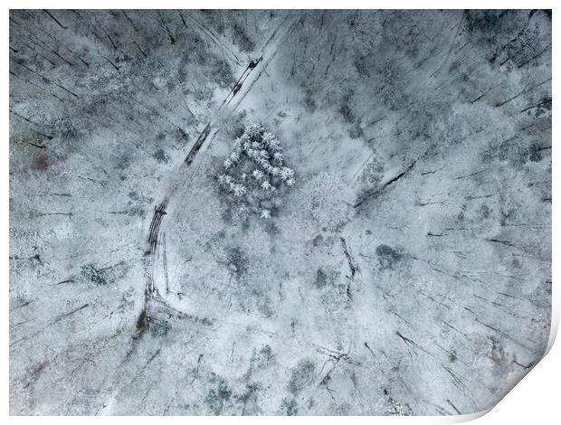 Winter Woodland Print by Apollo Aerial Photography