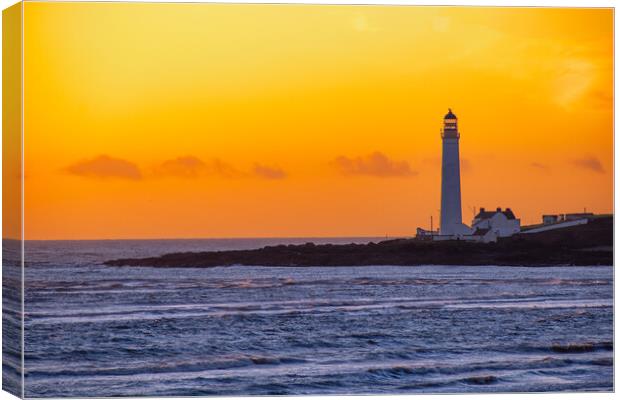 Golden Guardian of Montrose Canvas Print by DAVID FRANCIS