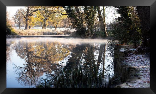 Mist shimmering on the lake at The Tarn, Mottingham #8 Framed Print by Jules D Truman